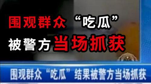 丹东吃瓜最新事件爆料新闻,最新爆料揭示惊人内幕  第3张