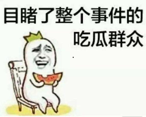 娱乐吃瓜小象小说免费阅读,揭秘娱乐圈背后的秘密  第3张