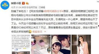 陈翔爆料视频大全集最新,揭秘娱乐圈不为人知的幕后故事  第1张