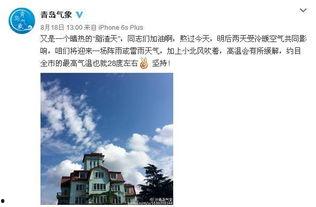 今日青岛爆料最新消息,揭秘神秘事件背后的真相  第1张