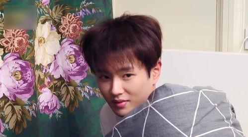 范丞丞奔跑吧吃瓜爆料视频,吃瓜爆料背后的真相大起底  第2张